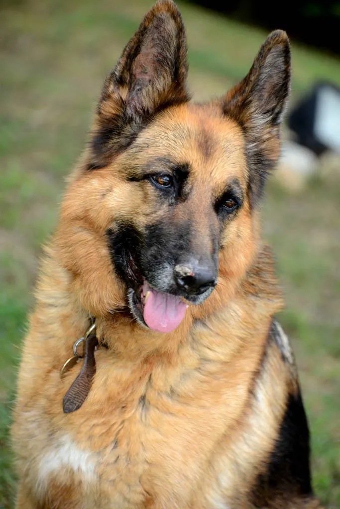Photo de baptême Alpes-Maritimes 5