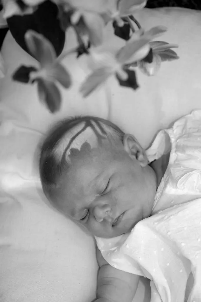 Photo de bébé Alpes-Maritimes 1